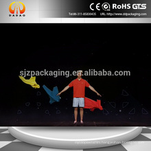 3D Holographic Stage Foil / Hologram Display / Holographic Reflection Film